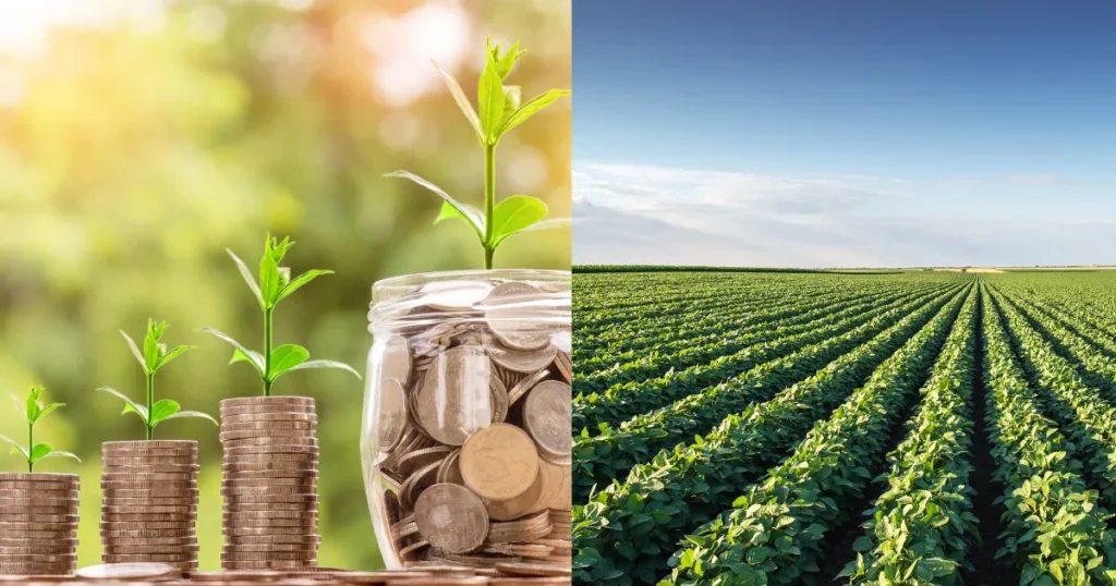 Fiagros de Crédito vs Fiagros de Terra onde focar no início de 2026