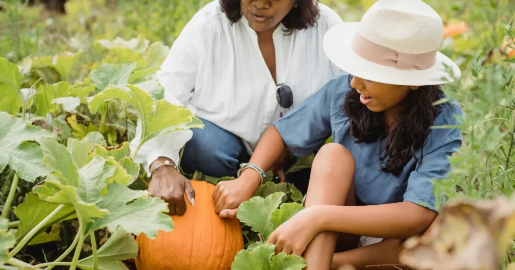 Governança no Agro da vontade do dono ao conselho de família
