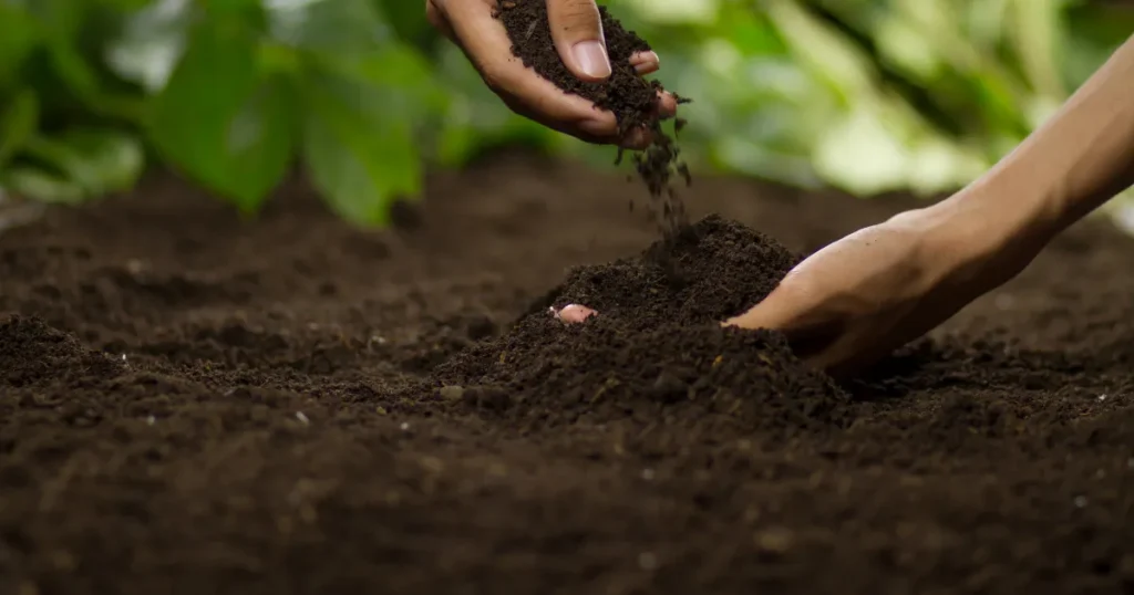 Tecnologia 3 bioinsumos e biotecnologia de solo