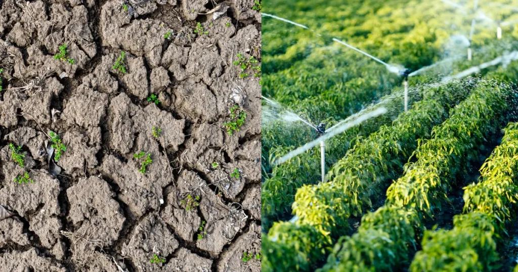 Terras de pastagem degradada a fronteira de valorização para o ciclo 20262030