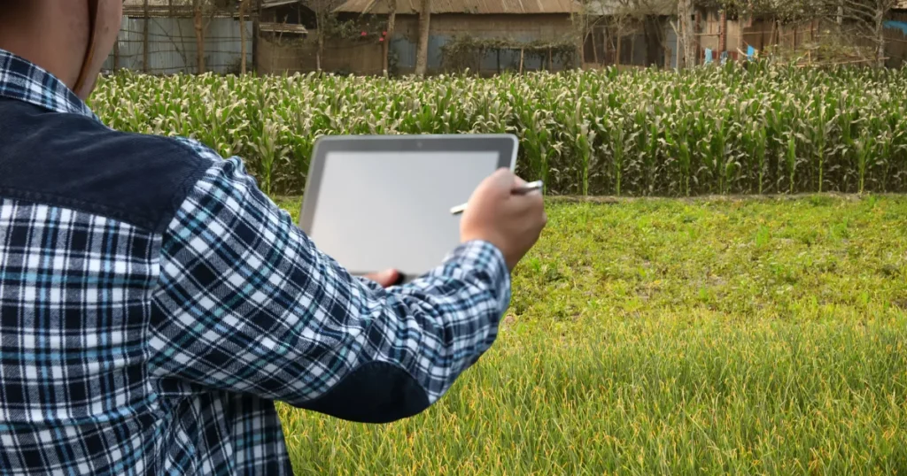 A Nova Gestão de Custos Como o controle rigoroso de insumos define o EBITDA da safra