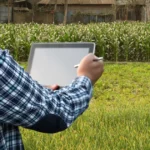 A Nova Gestão de Custos Como o controle rigoroso de insumos define o EBITDA da safra