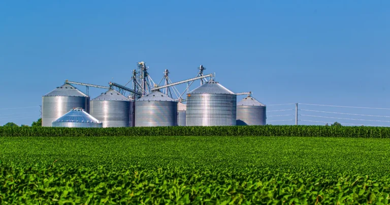 Diversificação Setorial no Agro Grãos, Pecuária ou Fruticultura Onde o investidor institucional está alocando