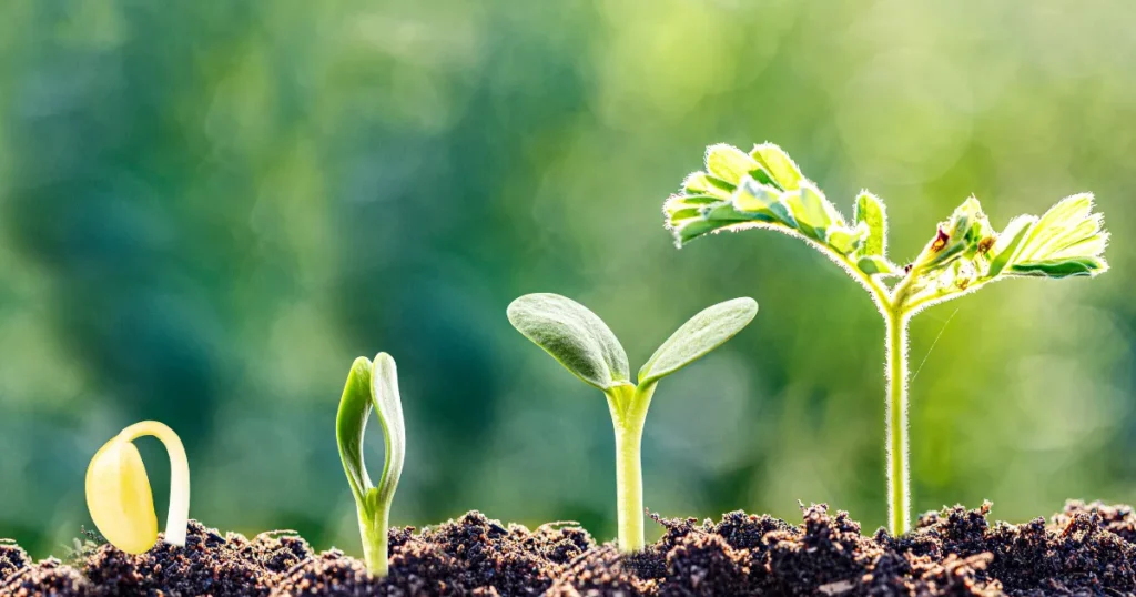 Fiagro de papel vs. Fiagro de terra o que o investidor precisa distinguir