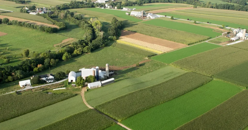 Fiagros vs LCI Onde está o real retorno do capital no agronegócio