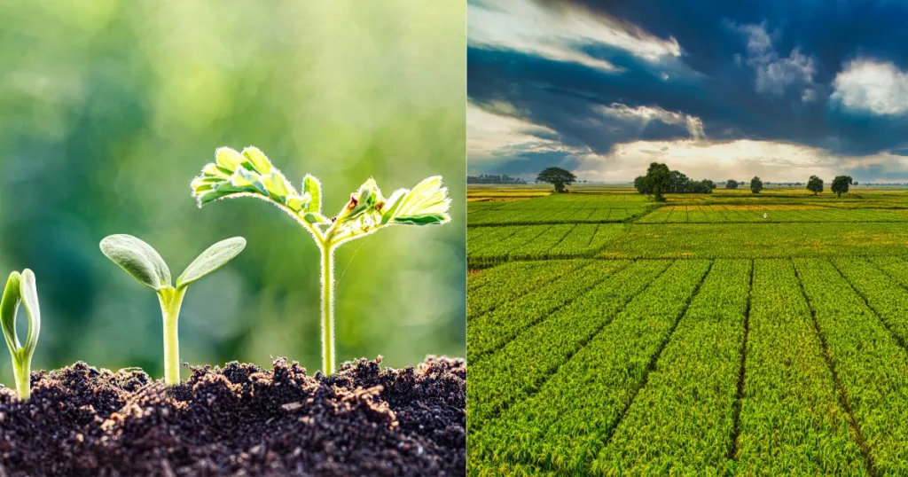 Fiagros vs. CDI por que a renda variável no agro está atraindo o investidor institucional hoje