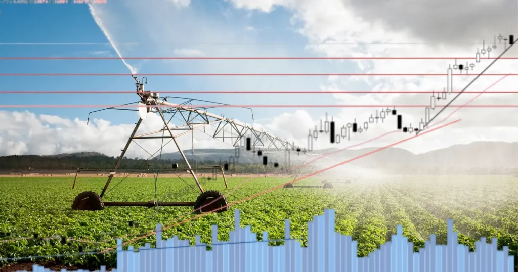 O que é preço de tela e por que ele não é o seu preço rea