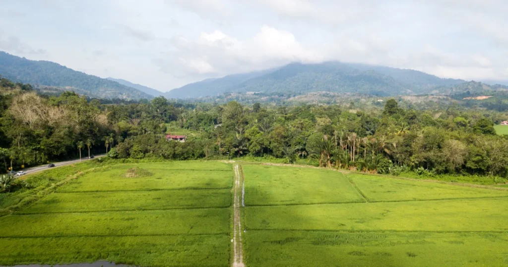 O que efetivamente valoriza uma terra em 2026