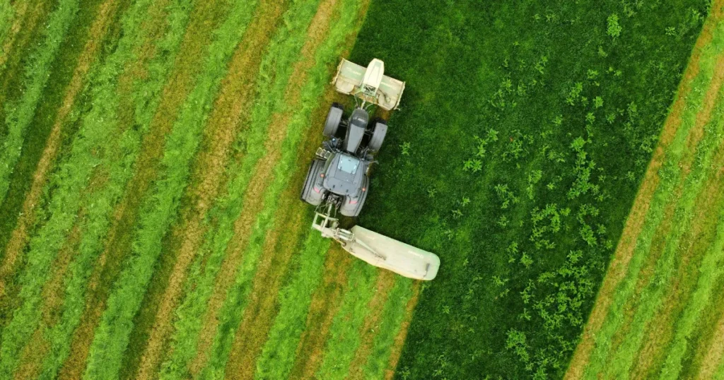 Pecuária: proteção patrimonial e opcionalidade