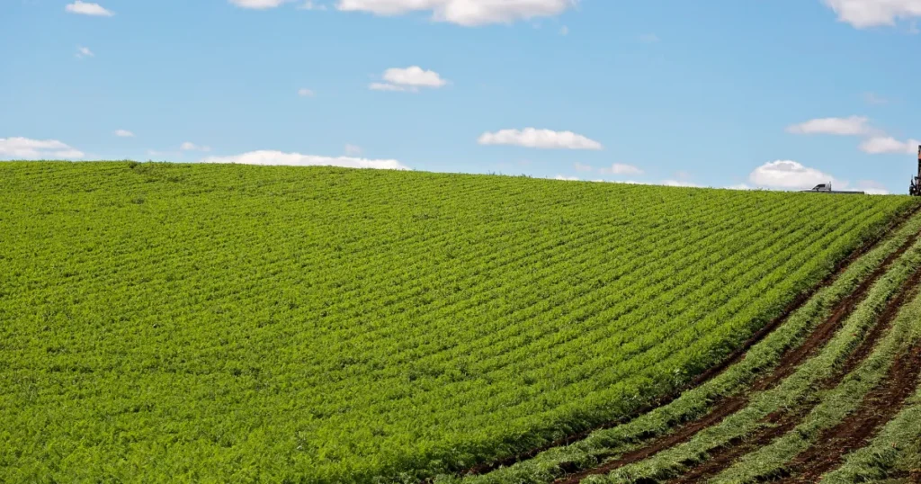 Por que 2026 está exigindo mentalidade de tesouraria e não só de produção