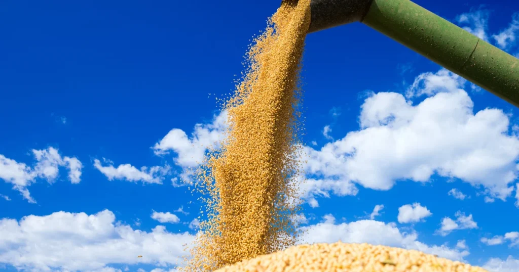 Produzir bem é obrigação. Lucrar bem é gestão.