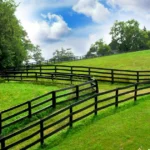 Conectividade rural: o gargalo invisível da tecnologia no campo