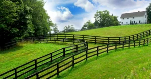 Conectividade rural: o gargalo invisível da tecnologia no campo