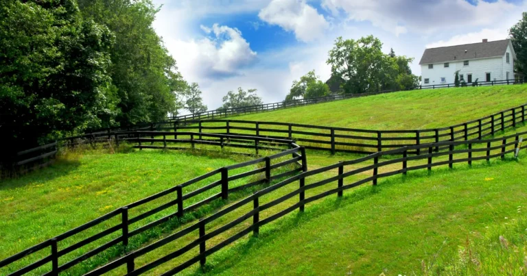 Conectividade rural o gargalo invisível da tecnologia no campo