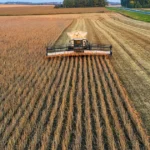 Gestão e lucratividade no campo: custo, margem e decisão