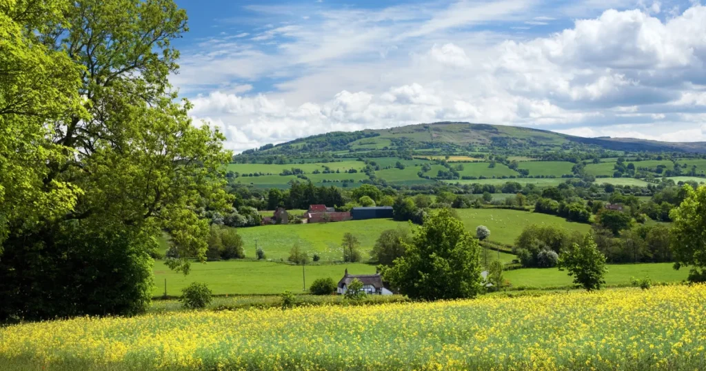 O que mudou em 2026 na conectividade rural